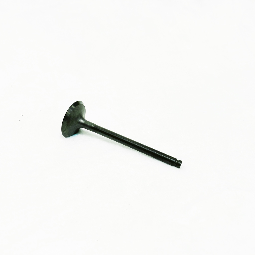 K12005-0793 | FS481V 603CC EXHAUST VALVE