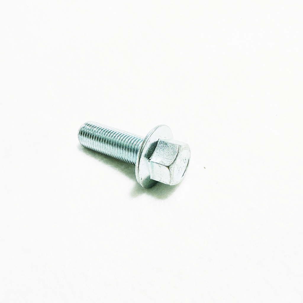 W13008 | Hexagon bolt with flange