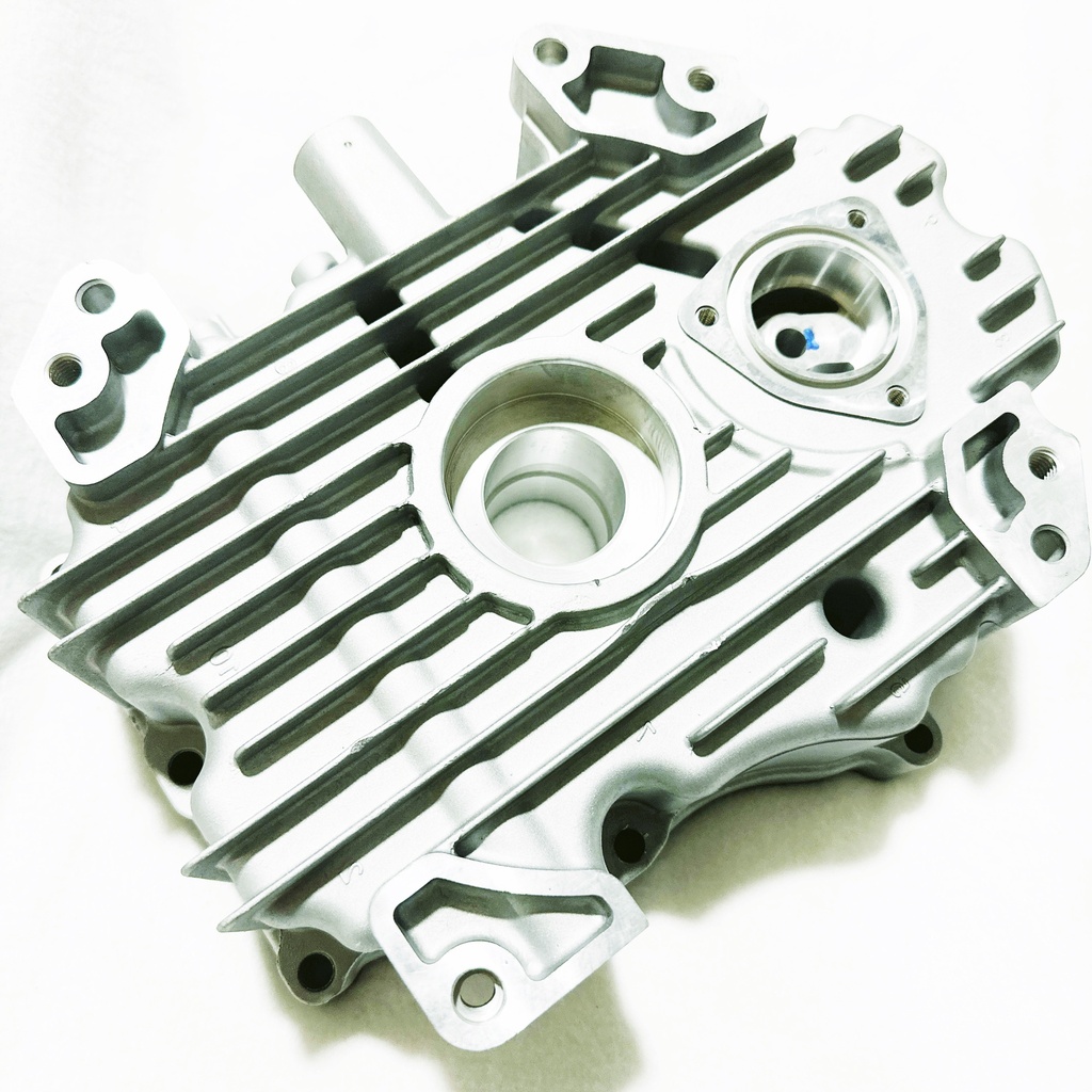 W13029 | Crankcase cover