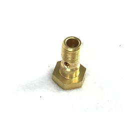 PT-10301 | Banjo Bolt - M10 x 21mm L
