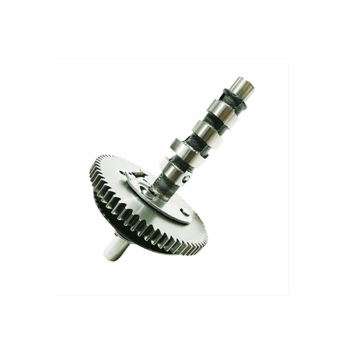 W13027 | Camshaft assy