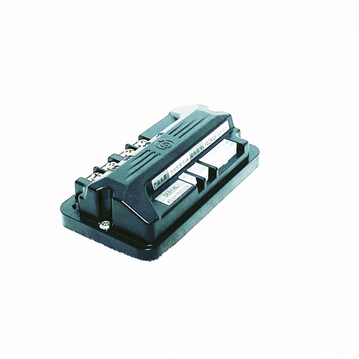 W13114 | Electronic Controller - DX20