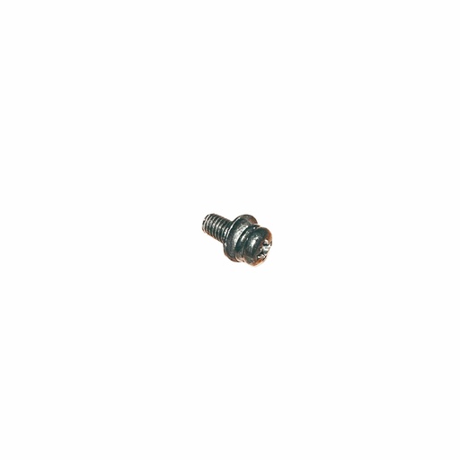 W13606 | Screw w/ Washers, M5x10
