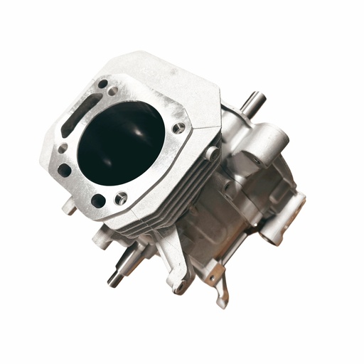 W13774 | Crankcase Assy